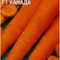 Морковь Канада F1 150шт (Голландия)Гавриш/Фермер